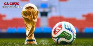Vòng Knock-out World Cup 2026: Chờ đợi bất ngờ đến từ ngựa ô